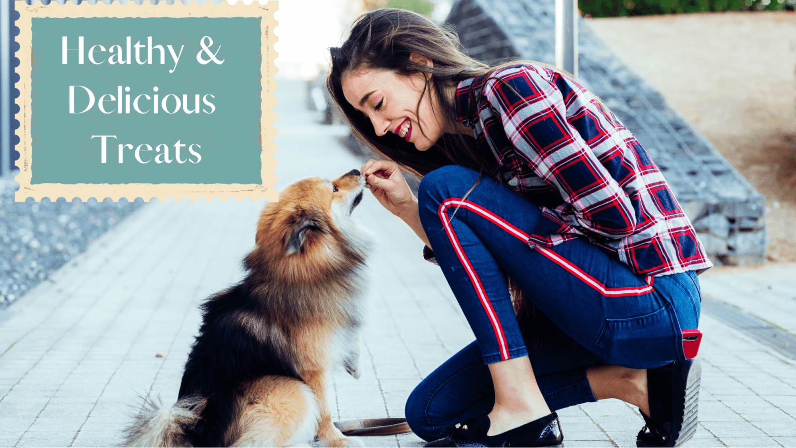 18 Best Healthy Dog Treats Vet Approved Downward Paws