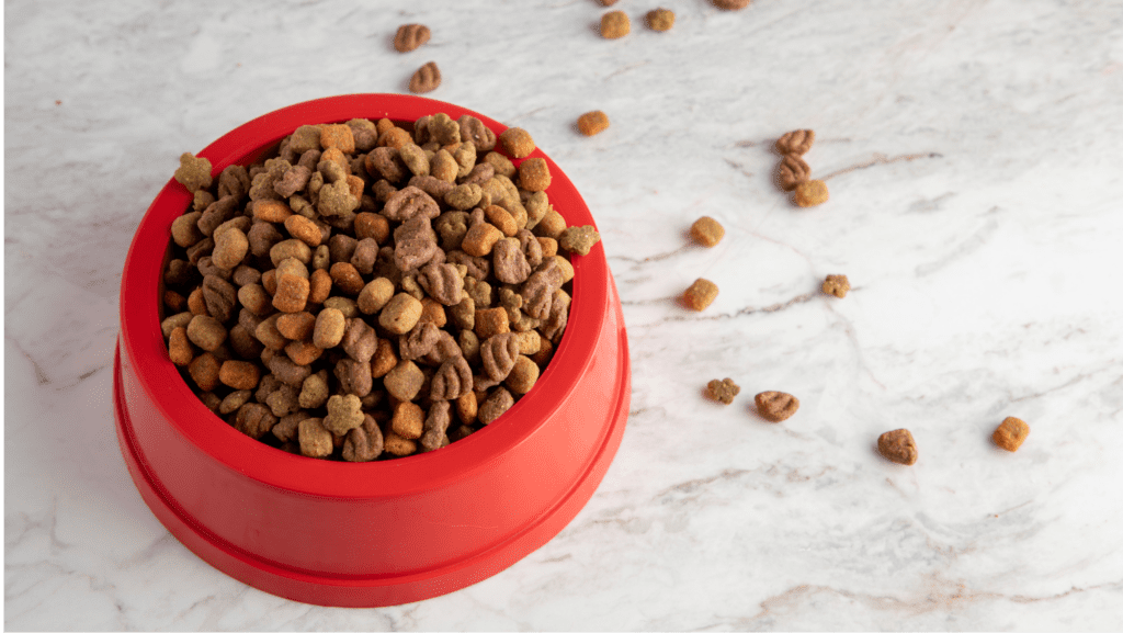 bowl of dog food in red bowl