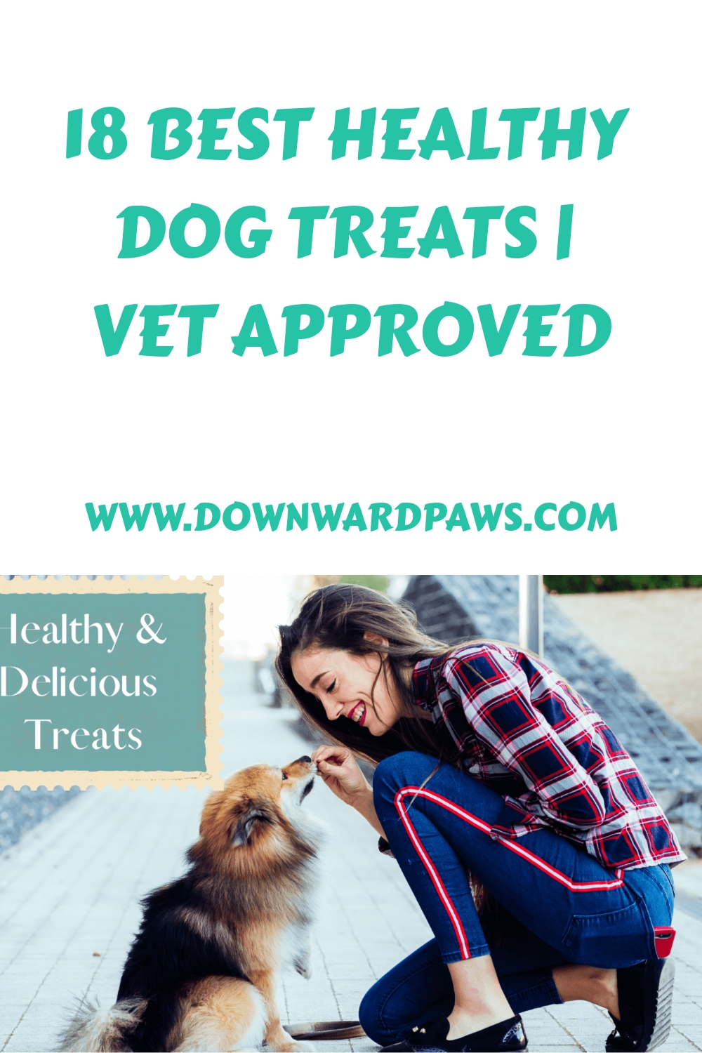 18 Best Healthy Dog Treats Vet Approved Downward Paws