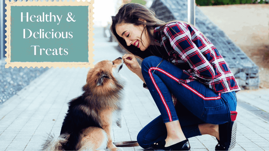 Women feeding healthy treat to dog