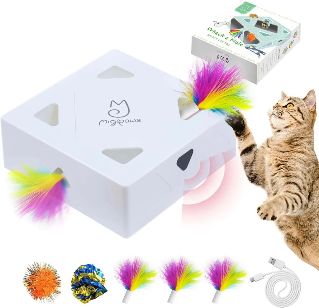 white box with colorful feathers and cat playing with it