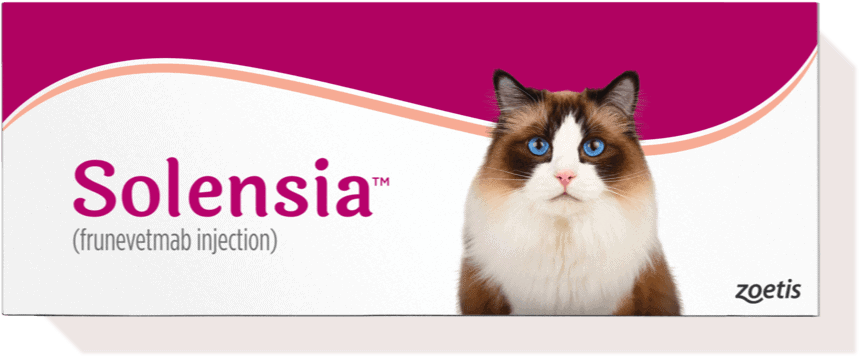 solensia box with cat on it